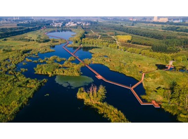 七星湖湿地风光