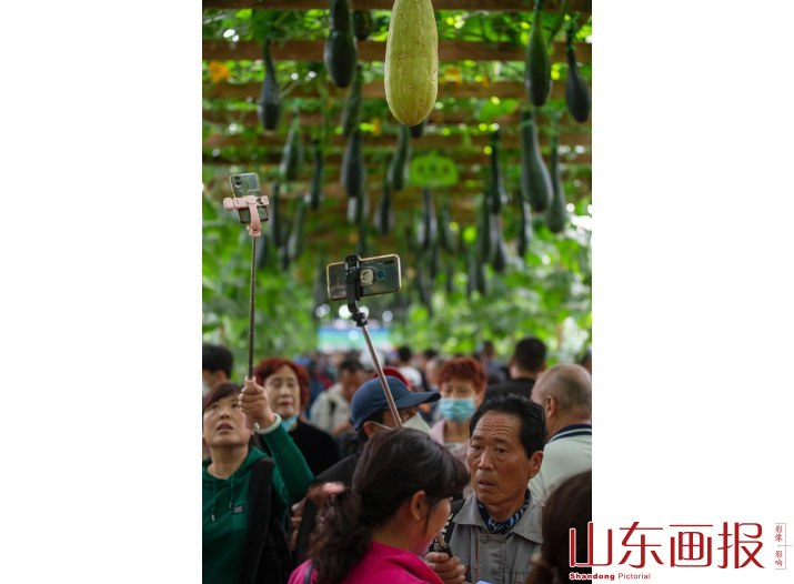 2023年寿光菜博会