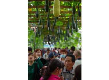 2023年寿光菜博会