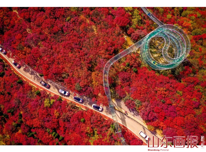 畅游红叶路