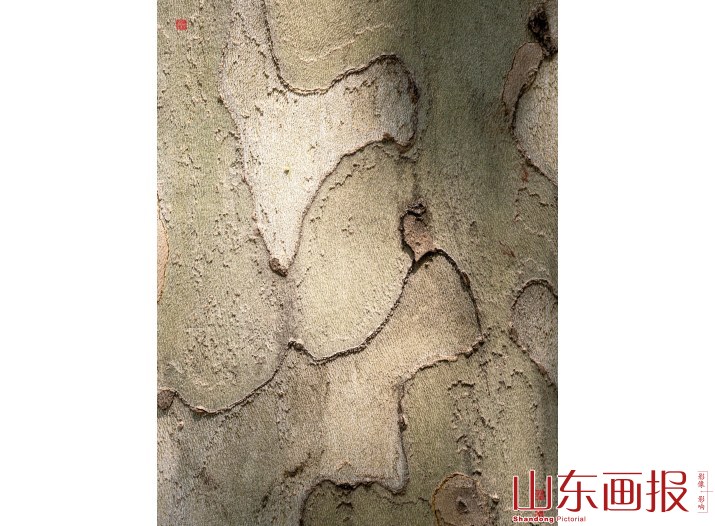 禅坐