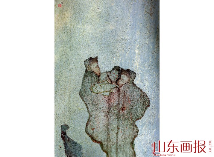 喜得贵子