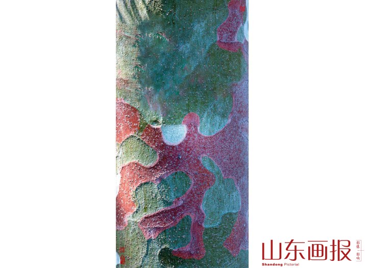 美丽的图腾