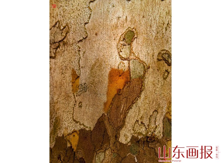 活佛济公