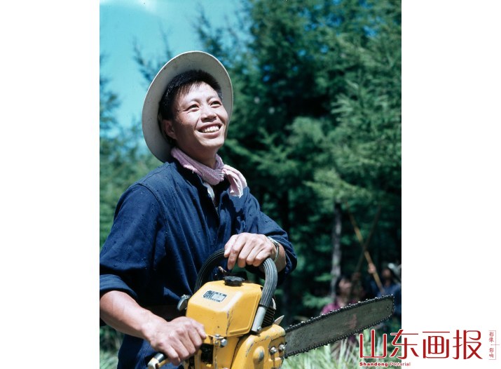 辛勤绿化崂山的劳动者