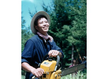 辛勤绿化崂山的劳动者