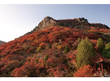 天赐山秋色
