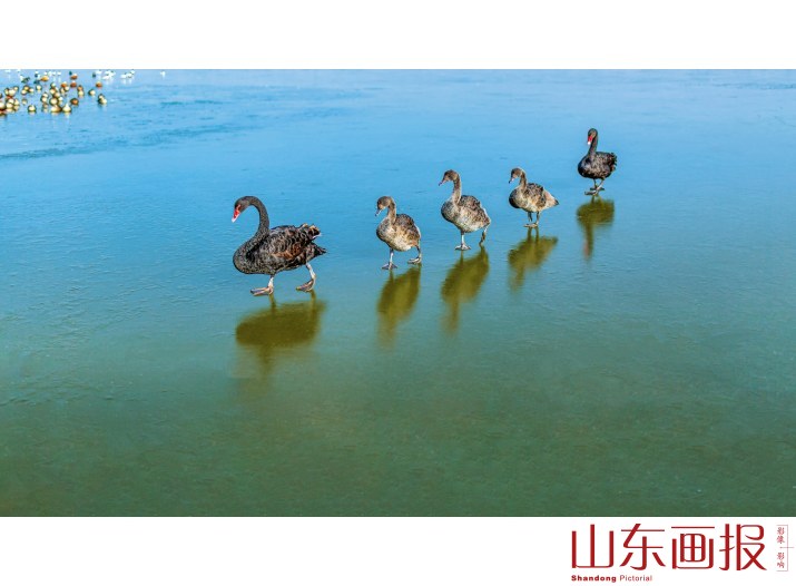 行走江湖