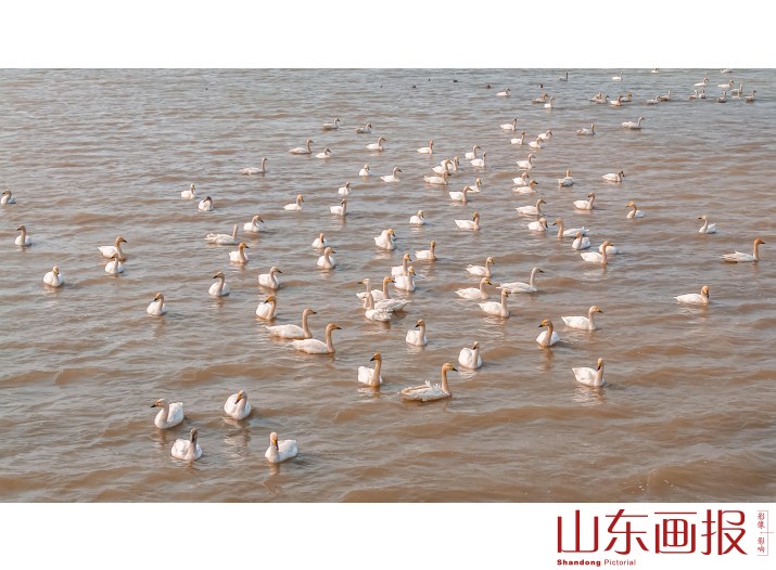 畅游湿地黄河口3