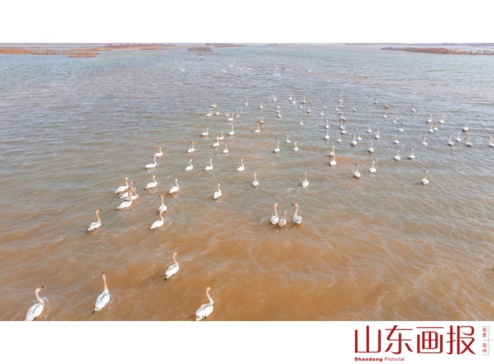 畅游湿地黄河口7
