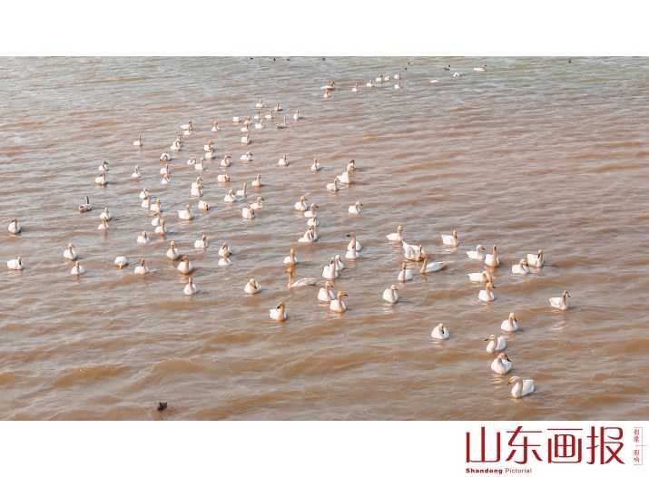 畅游湿地黄河口5