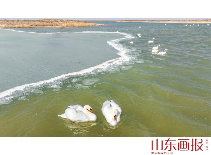 畅游湿地黄河口1