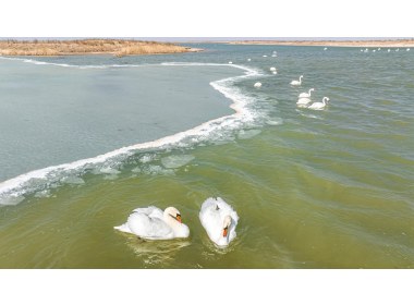 畅游湿地黄河口1
