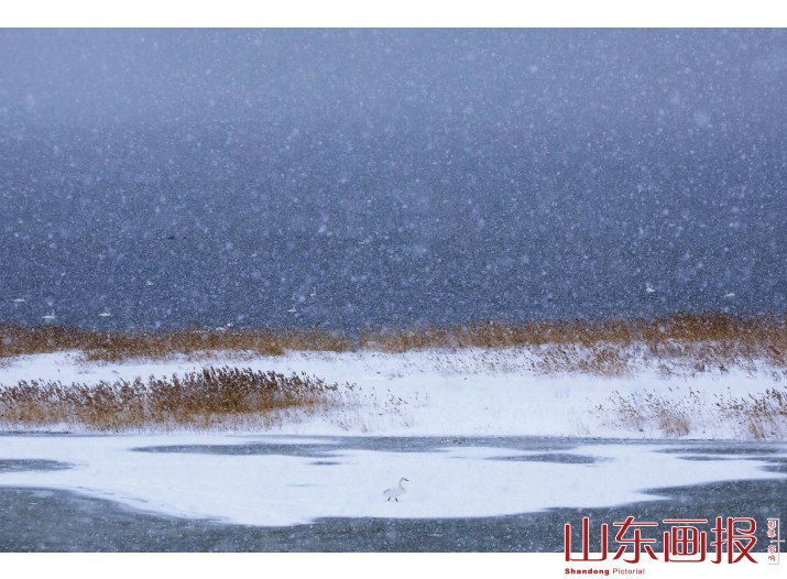 寒水
