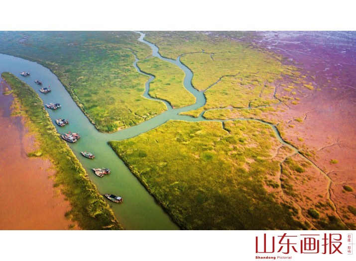 静静的港湾