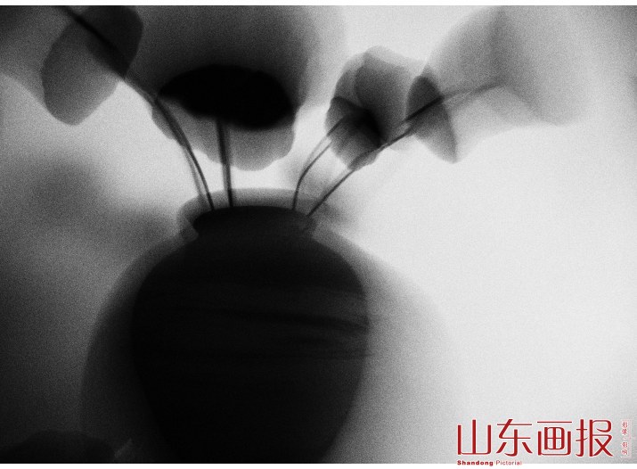 西风东韵——粗颗粒高反差黑白影像的审美趣味（组图之六）