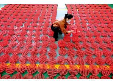 贫困夫妻的脱贫致富路（组图之二）