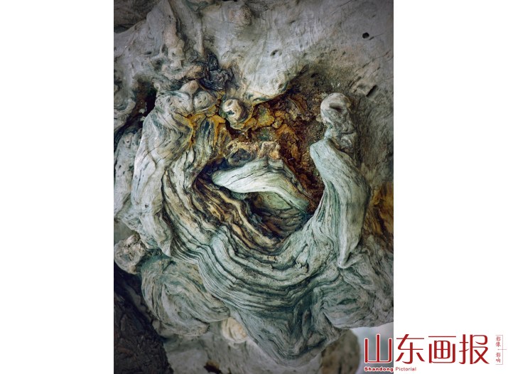 端午佳节的一席“艺术大餐”（组图之五）