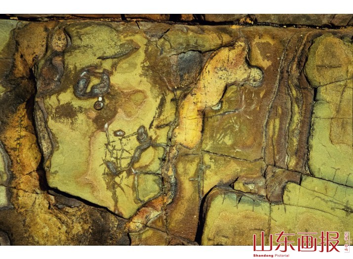 端午佳节的一席“艺术大餐”（组图之四）