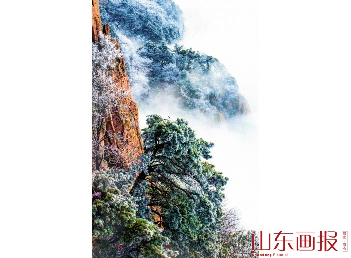 泰山雾凇