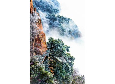 泰山雾凇