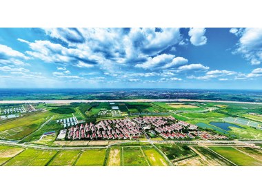 家住黄河边