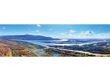 湿地公园
