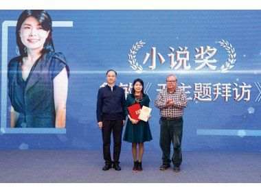 鲁敏的《无主题拜访》获小说奖