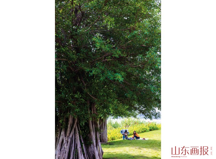 汉丰湖畔景色宜人