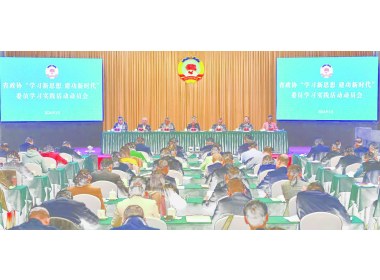 “学习新思想 建功新时代”委员学习实践活动动员会