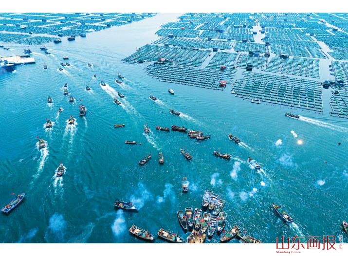 烟台激发蓝色动能