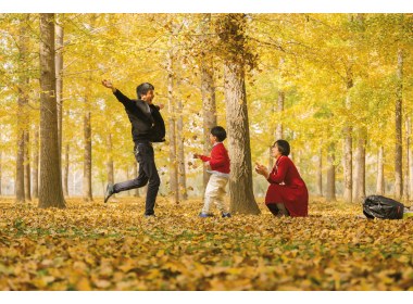 山东临沂，一家人在郯城县胜利镇银杏林快乐游玩（许传宝/摄影）
