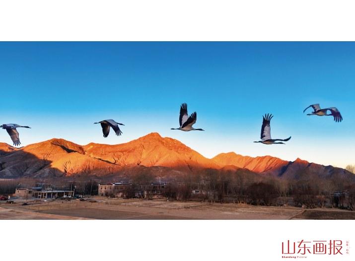 “日照金山”奇景