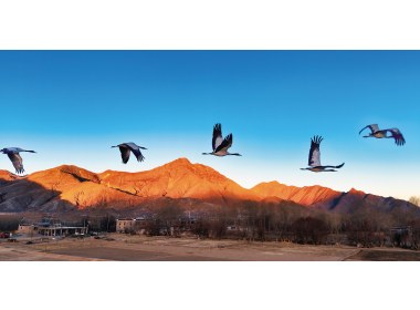 “日照金山”奇景