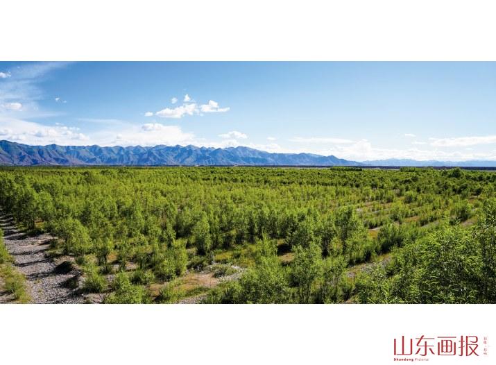 雅江北岸生态示范区