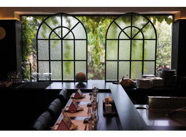 磨砂玻璃与垂落的爬藤