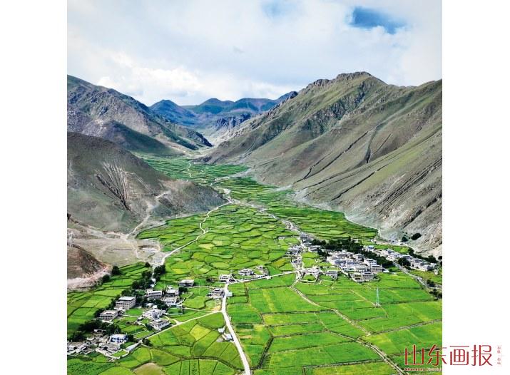 用绿色“点染”高原