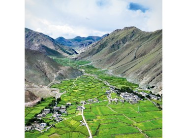 用绿色“点染”高原