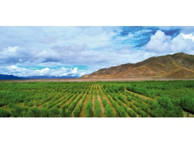 雅江北岸生态示范区