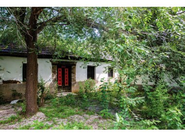 朴素的小院里燃起了革命之火