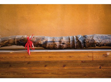 永不腐朽的顶梁柱