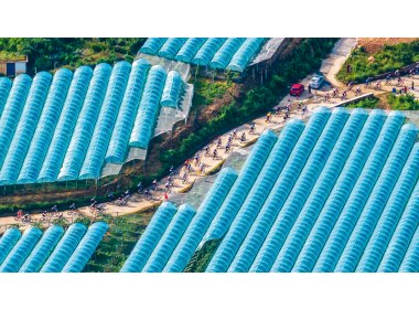 中国青少年公路自行车联赛（招远站）