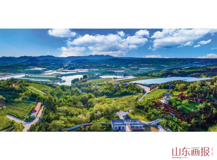 大户陈家村南海林苑