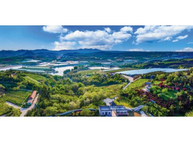 大户陈家村南海林苑