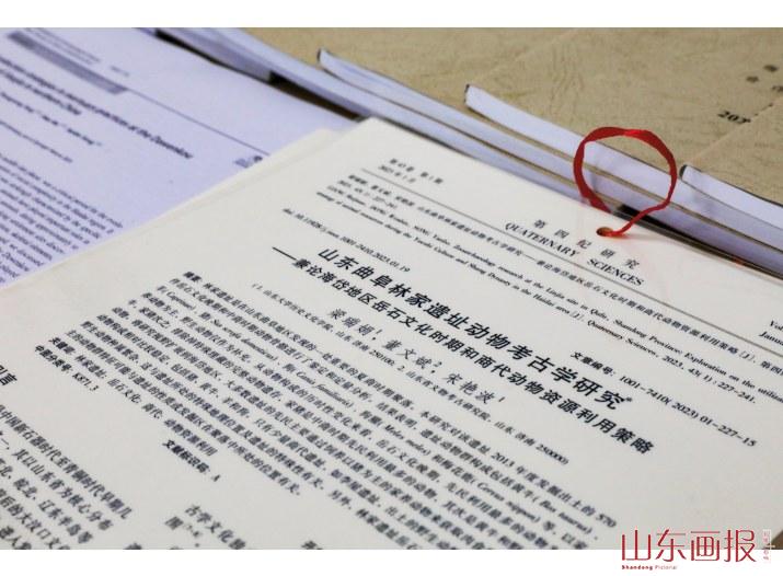 一系列动物考古理论成果