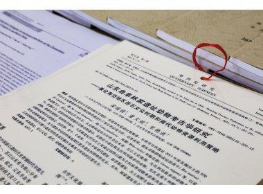 一系列动物考古理论成果