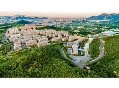 青岛市李沧区世园街道毕家上流社区