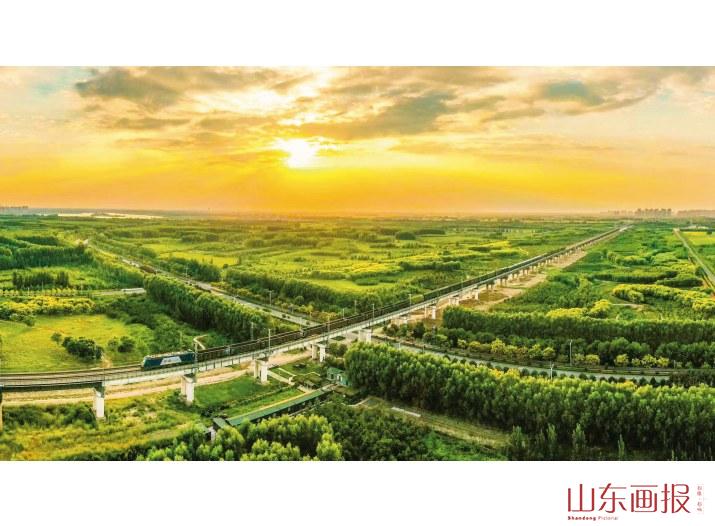 德州市齐河县黄河风光