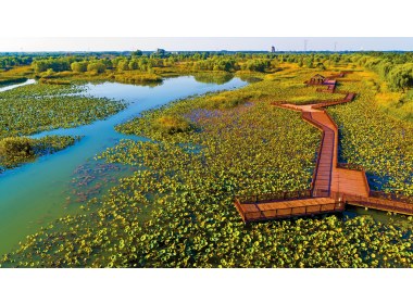 淄博市高青县天鹅湖慢城湿地景区